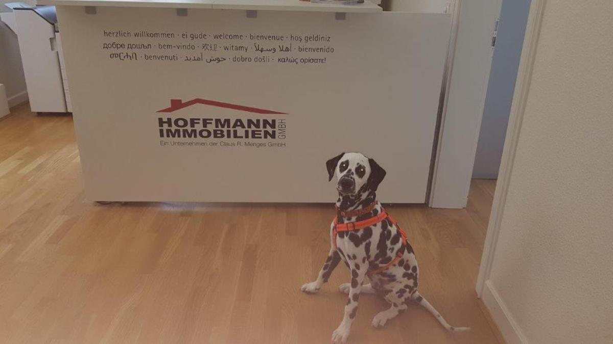 Bojan