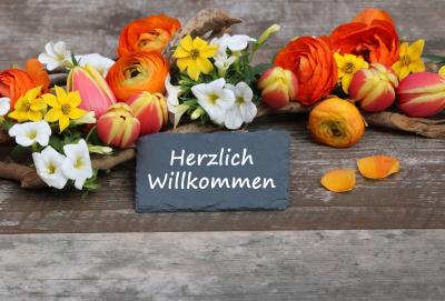 Unser Team wächst: Herzlich Willkommen, Frau Metzger!