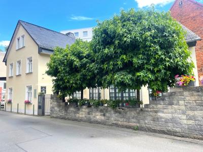 .Eine wahrhaftige Rarität: Wunderschönes und denkmalgeschütztes Einfamilienhaus im Herzen von Gießen, Tiefenweg 5.