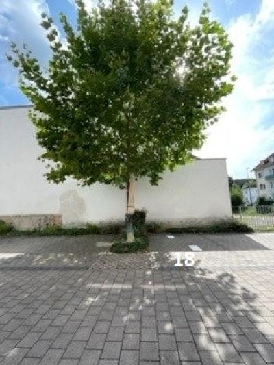 Garage/Stellplatz in Gießen
