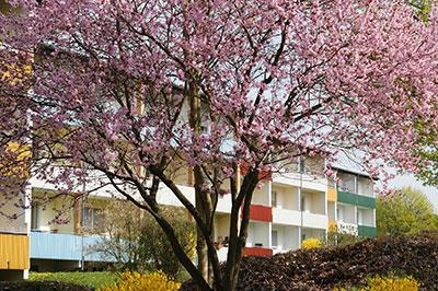 .Nur für Studierende: Schön großes 1 Zimmer-Apartment mit Balkon, Rödgener Str. 85, Gießen.