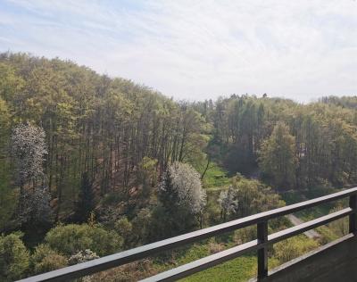 Mit herrlichem Ausblick: Helles 1 Zimmer-Apartment mit schönem Balkon in Buseck