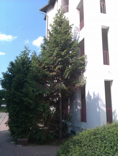.Mit Balkon: Schöne 2 Zimmer-Wohnung in Uninähe, Wingertshecke 9, Gießen.